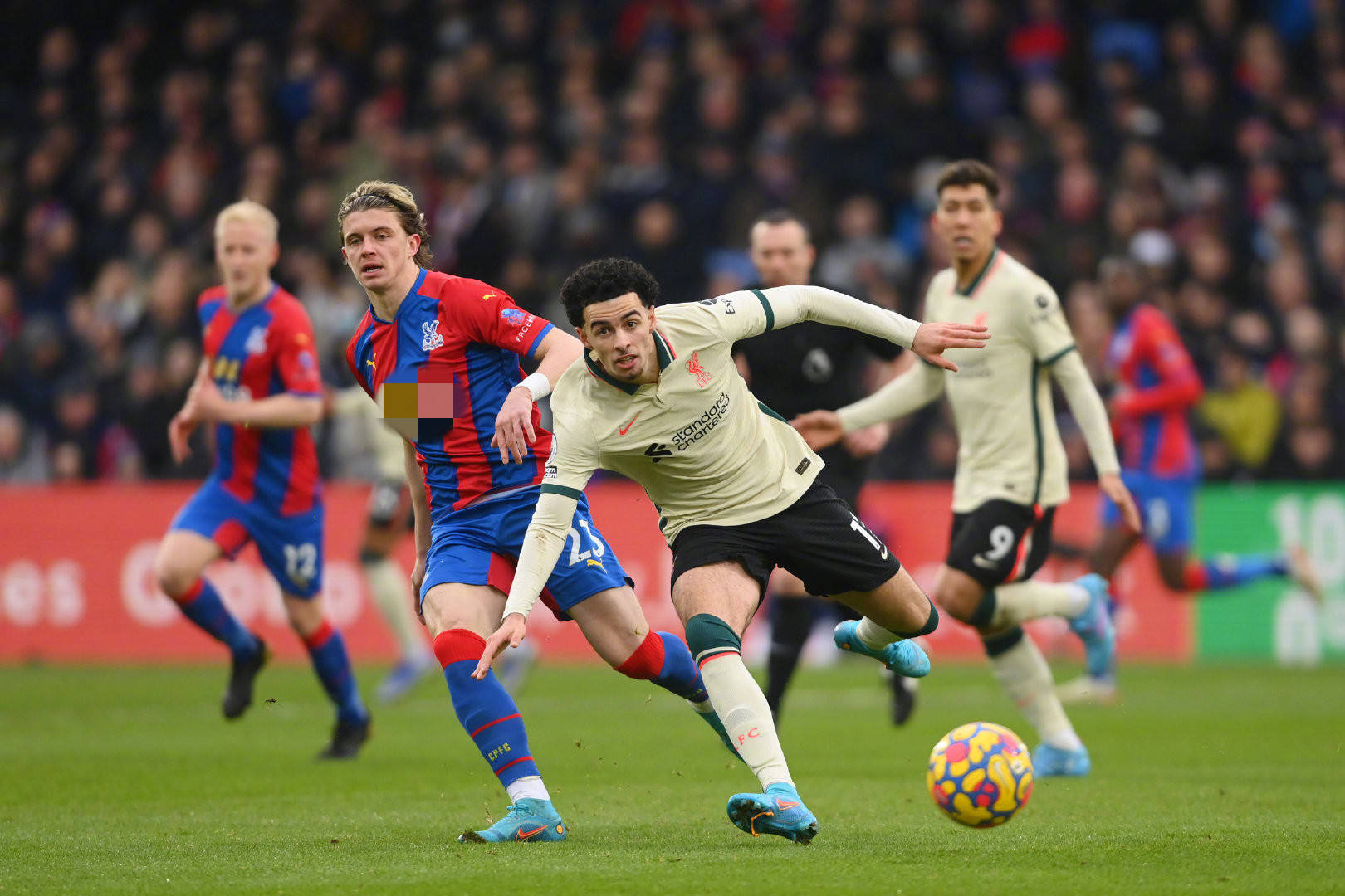 反映的不僅 反映的不僅