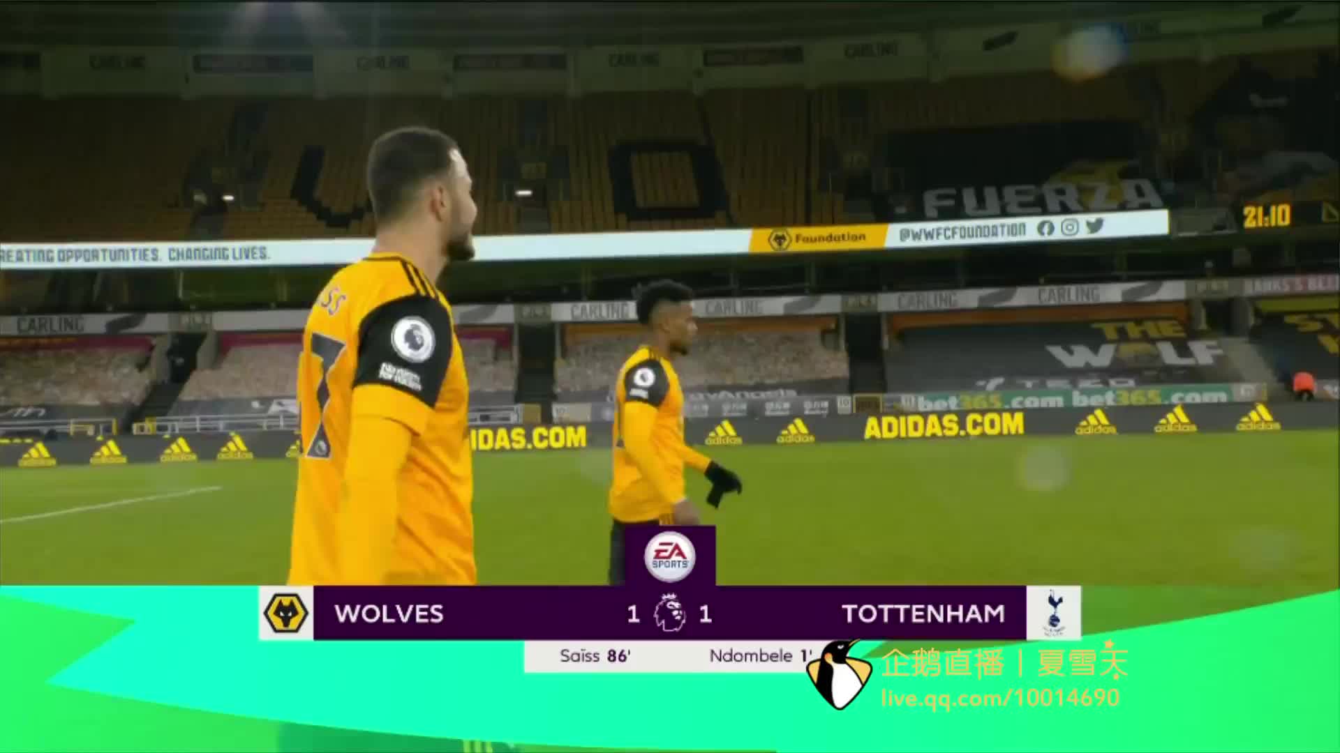 黑马之姿交 黑马之姿交